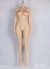 4'10" (148cm) D-Cup Ultra Realistic Sex Doll Body (YL Doll)