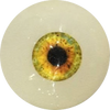 Eyes