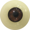 Eyes