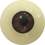 Realistic Doll Eyes for Customization - Enhance Doll's Style