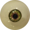 Eyes